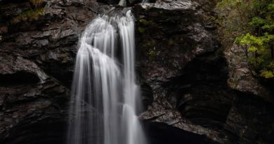 Экскурсии в Гегский водопад из Адлера 2022