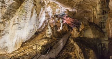 Экскурсия из Адлера: Воронцовские пещеры фото 6020