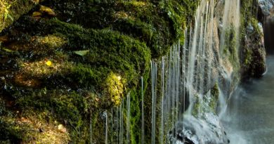 Экскурсии в `33 водопада` из Адлера
