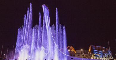 Экскурсия из Адлера: Шоу Фонтанов и вечерний Олимпийский парк фото 10645