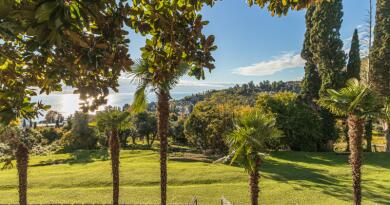 Экскурсии в `город Пицунда, Абхазия` из Адлера